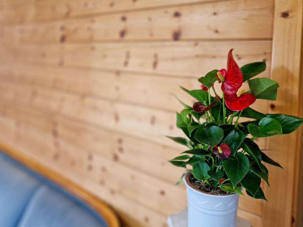 Ferien Vom Ich, Bayerischer Wald, Hotel & Restaurant 诺伊基兴 外观 照片