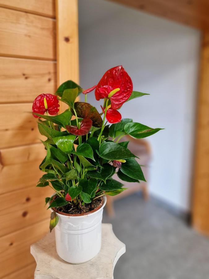 Ferien Vom Ich, Bayerischer Wald, Hotel & Restaurant 诺伊基兴 外观 照片
