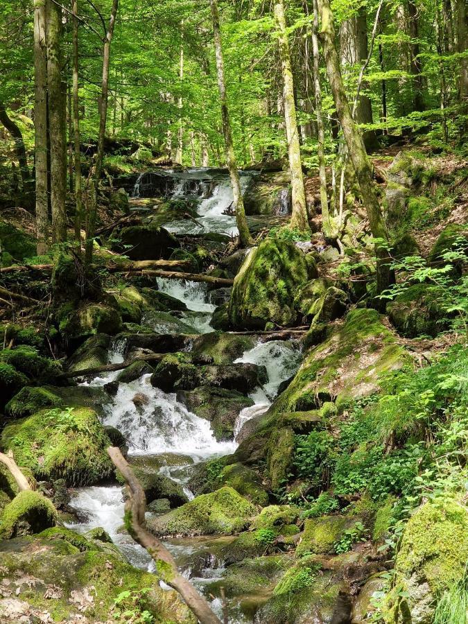 Ferien Vom Ich, Bayerischer Wald, Hotel & Restaurant 诺伊基兴 外观 照片