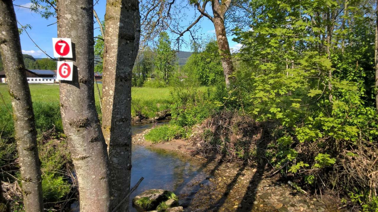 Ferien Vom Ich, Bayerischer Wald, Hotel & Restaurant 诺伊基兴 外观 照片