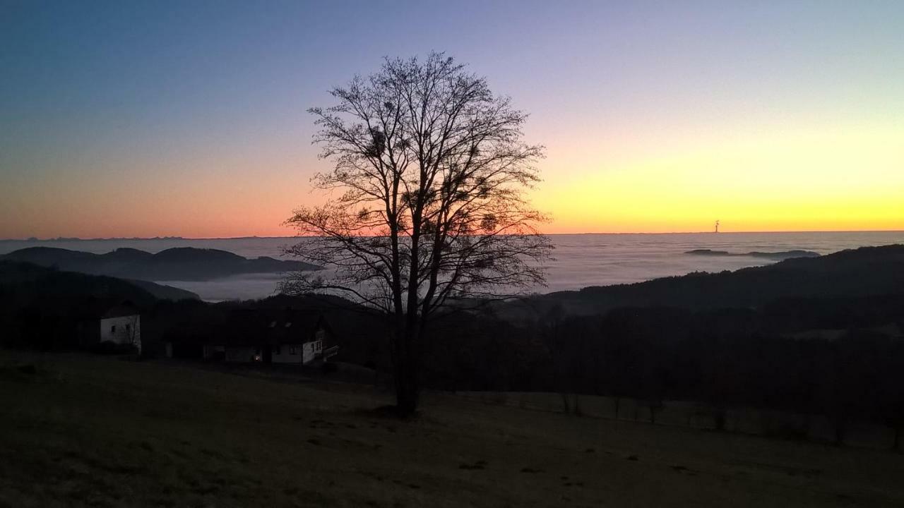Ferien Vom Ich, Bayerischer Wald, Hotel & Restaurant 诺伊基兴 外观 照片