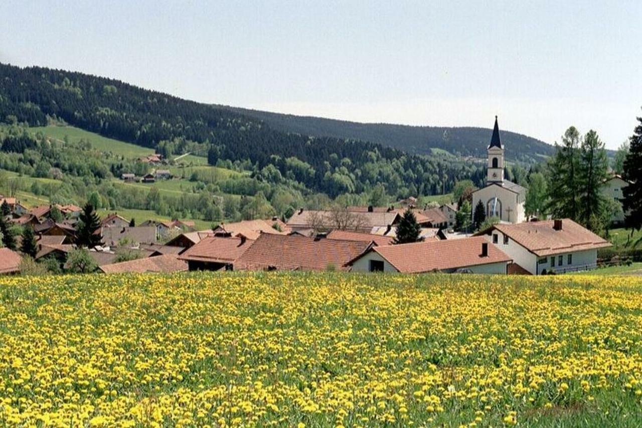 Ferien Vom Ich, Bayerischer Wald, Hotel & Restaurant 诺伊基兴 外观 照片