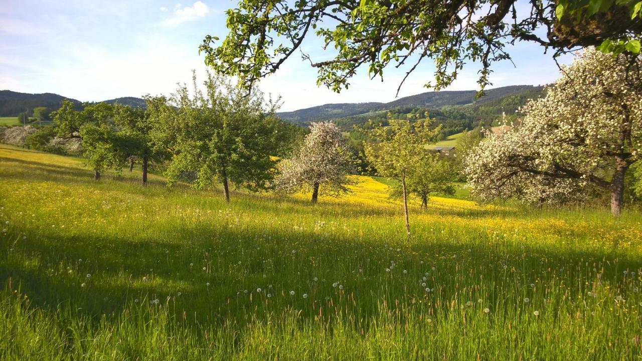 Ferien Vom Ich, Bayerischer Wald, Hotel & Restaurant 诺伊基兴 外观 照片