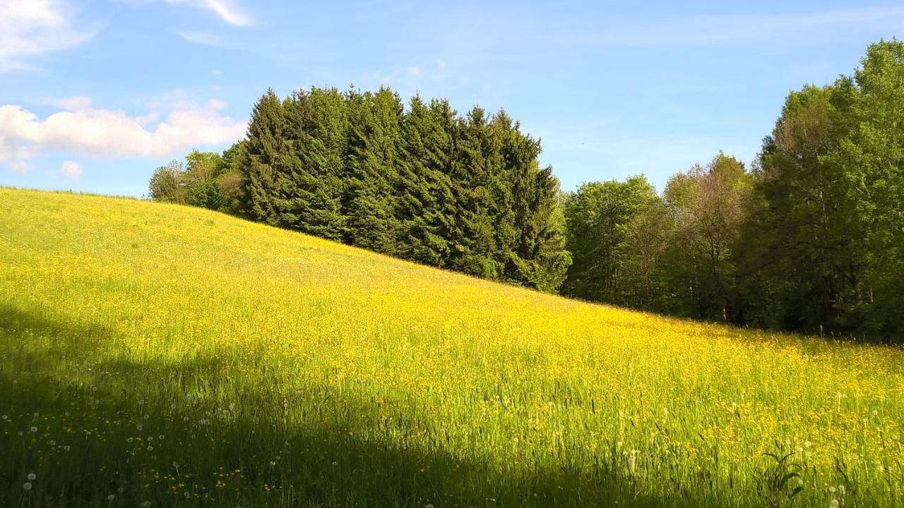 Ferien Vom Ich, Bayerischer Wald, Hotel & Restaurant 诺伊基兴 外观 照片